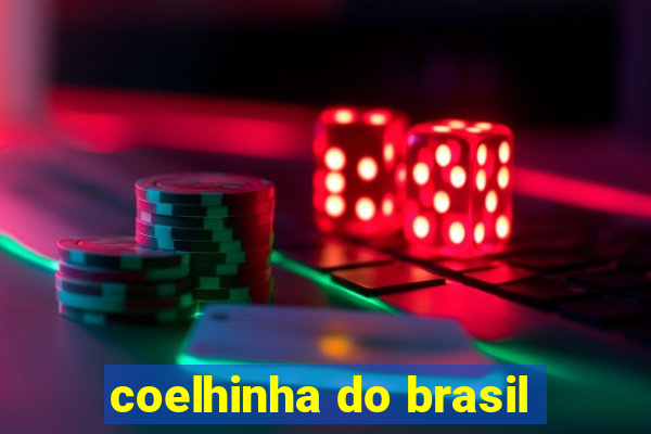 coelhinha do brasil